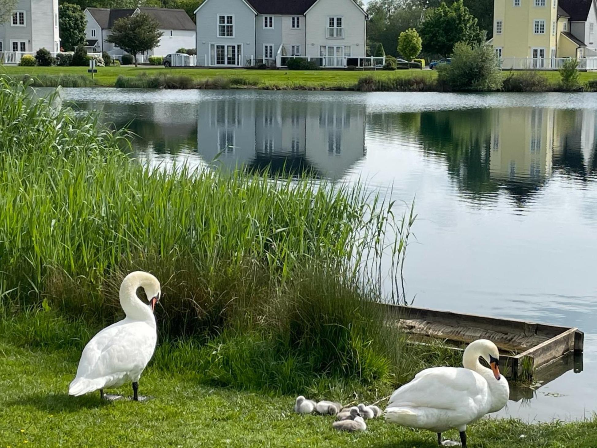 Luxury Kingfisher Lodge, Isis Lake, Within The Cotswold Waterpark Cirencester Esterno foto