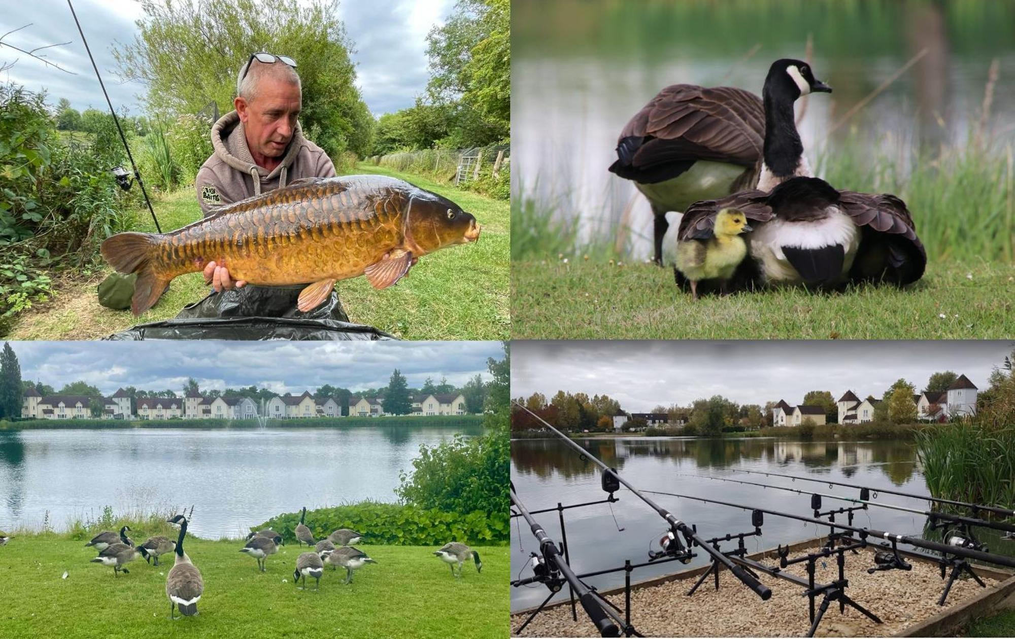 Luxury Kingfisher Lodge, Isis Lake, Within The Cotswold Waterpark Cirencester Esterno foto