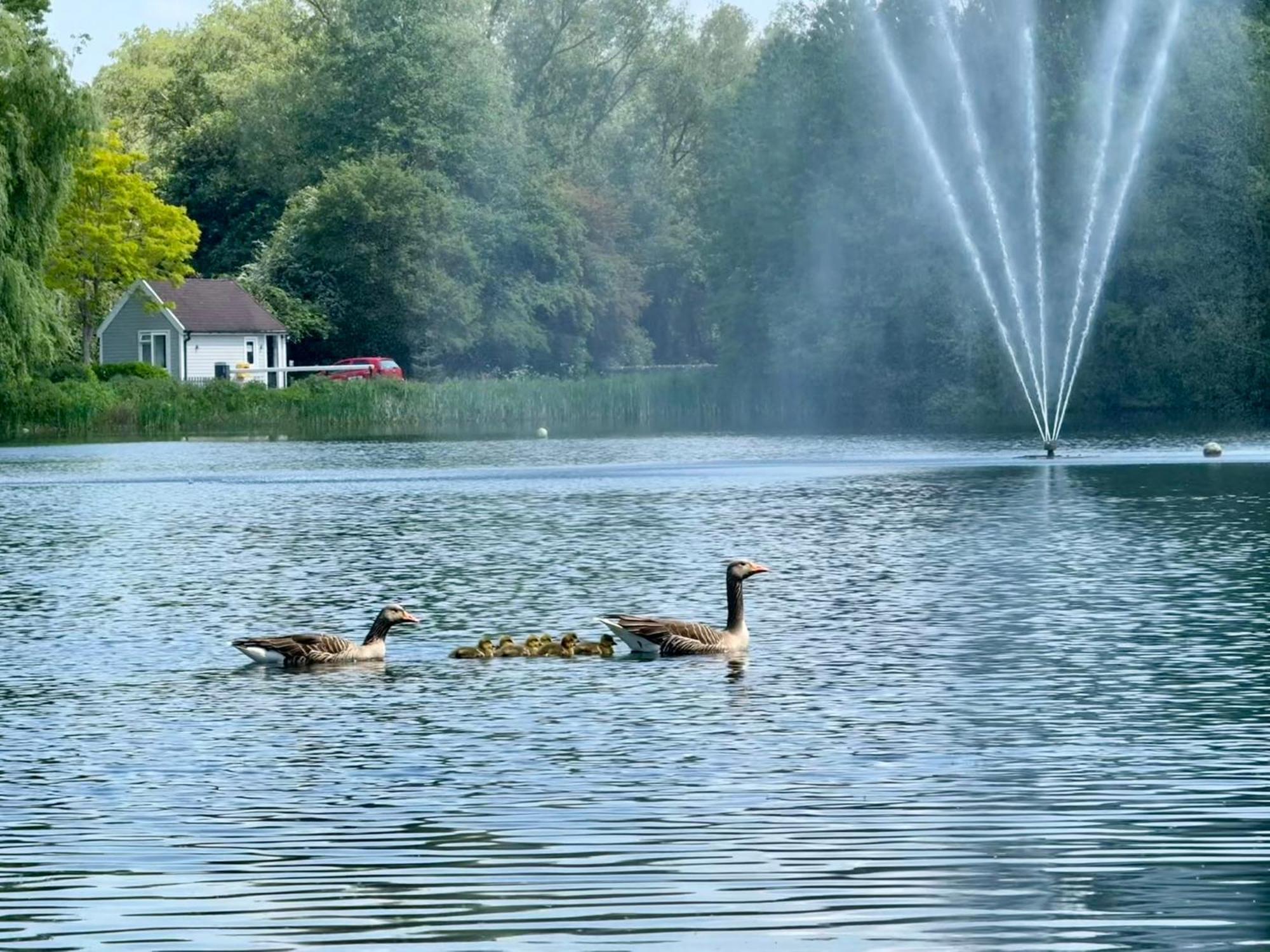 Luxury Kingfisher Lodge, Isis Lake, Within The Cotswold Waterpark Cirencester Esterno foto